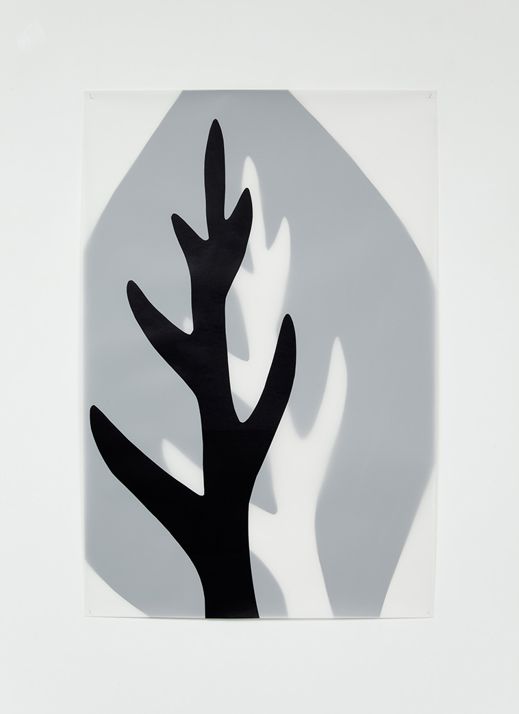 Leaf, 2012